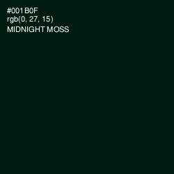 #001B0F - Midnight Moss Color Image
